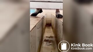 Asian poop Toilet 3