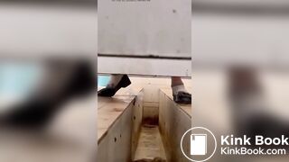 Asian poop Toilet 3