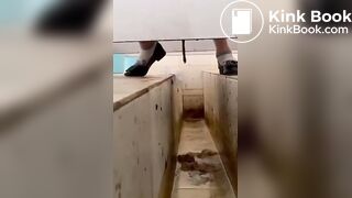 Asian poop Toilet 3