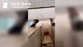 Asian poop Toilet 3