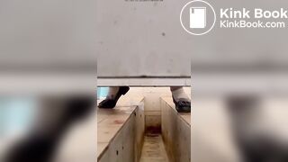 Asian poop Toilet 3