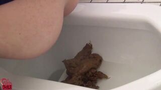 Shit And Fart Collection