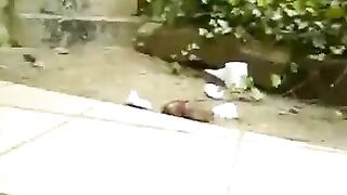 Girl takes a huge dump outdoors