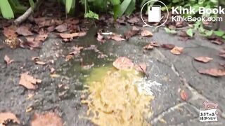 Open defecation 02