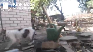 Videos 095