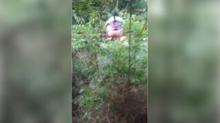 pooping - video 401