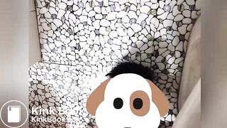 Ông bạn được vợ ỉa vào miệng