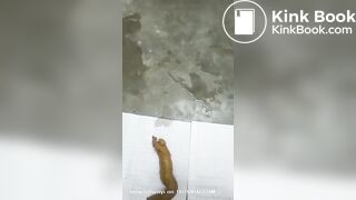 Akibat punya temen penakut 3