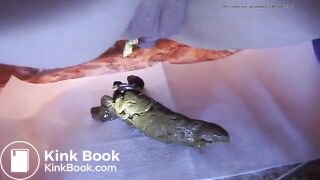 Multiple close up poops on bathroom floor 1