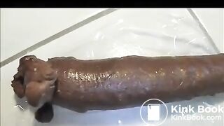 Very big and long turd