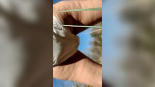 pooping trek outside