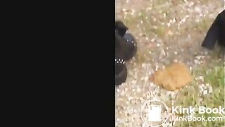 Milf outdoor diarrhea