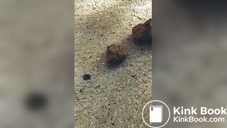 Sexy Ebony Shits Outside