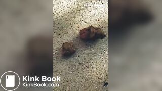 Sexy Ebony Shits Outside