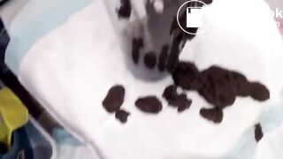 Pawg diarrhea in a glass