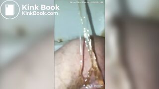 wife's best poops 2020 edition