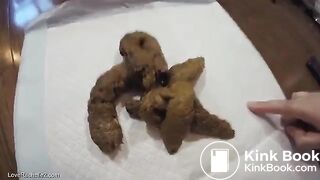 Compiled of 4 shits by Rachelle