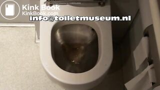 ICE Toilet Flush