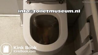 ICE Toilet Flush