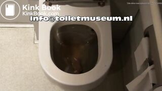 ICE Toilet Flush