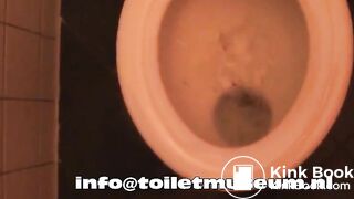 Turd flush dutch toilet