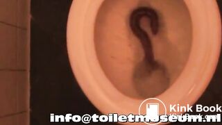 Turd flush dutch toilet