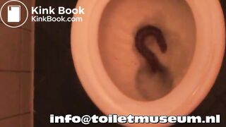 Turd flush dutch toilet