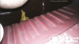 Asian girl pooping in toilet - video 2