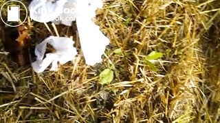 Jamay3 - video 2