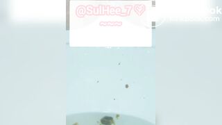 설희 스캇 모음