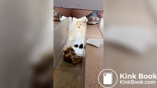 Chinese girl with diarrhea after eating barbecue