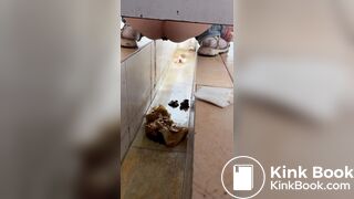 Chinese girl with diarrhea after eating barbecue