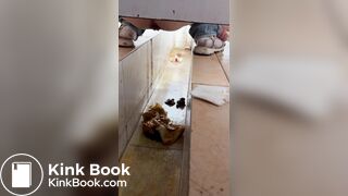 Chinese girl with diarrhea after eating barbecue