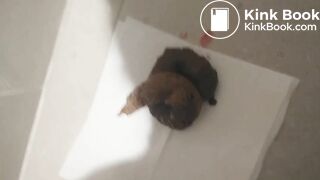 KOREAN WOMAN POOPING - video 16