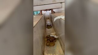 A stomachache Chinese girl with diarrhea