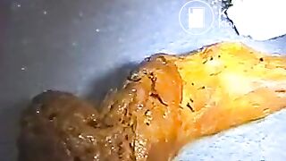 Japanese public shitting play