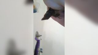 After anal sex poop