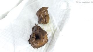 Backwards Scat