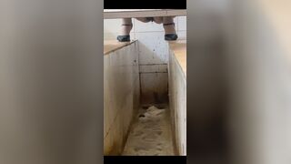 Chinese voyeur scat - video 4