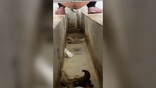 A Chinese girl have explosive diarrhea