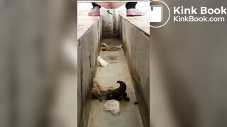 A Chinese girl have explosive diarrhea