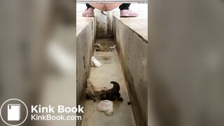 A Chinese girl have explosive diarrhea