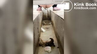 A Chinese girl have explosive diarrhea