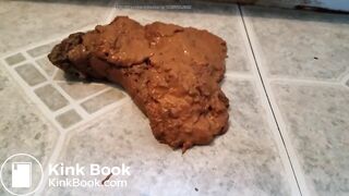 Ebony Bbw toilet shits