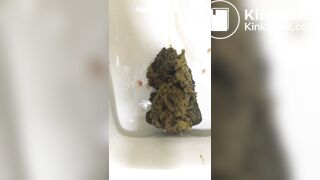 chinese scat pov shishi