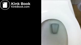 Same pretty lady pooping at work twice