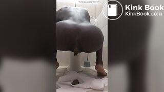 Big dump - video 44