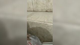 中国女王正在为他的厕奴准备食物