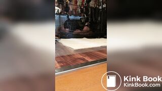 Scat femdom - video 43