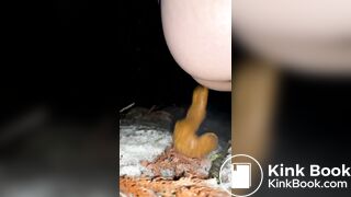 japanese amateur girl outdoor pooping